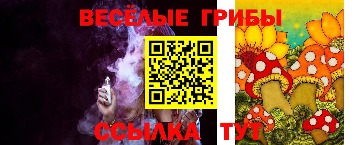 Псилоцибиновые грибы Cubensis Лабытнанги